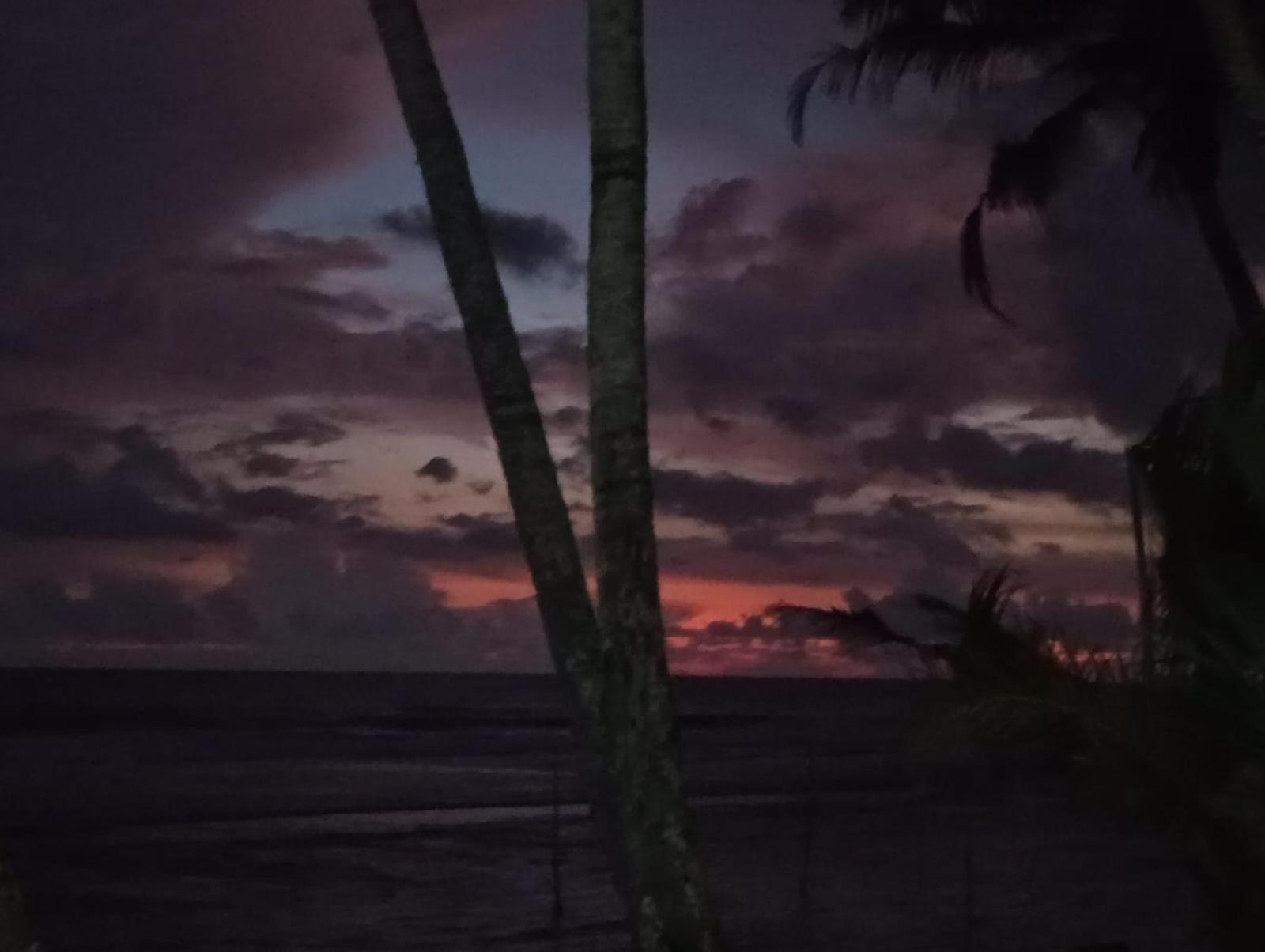 Turtle Eco Beach Matara Exterior foto