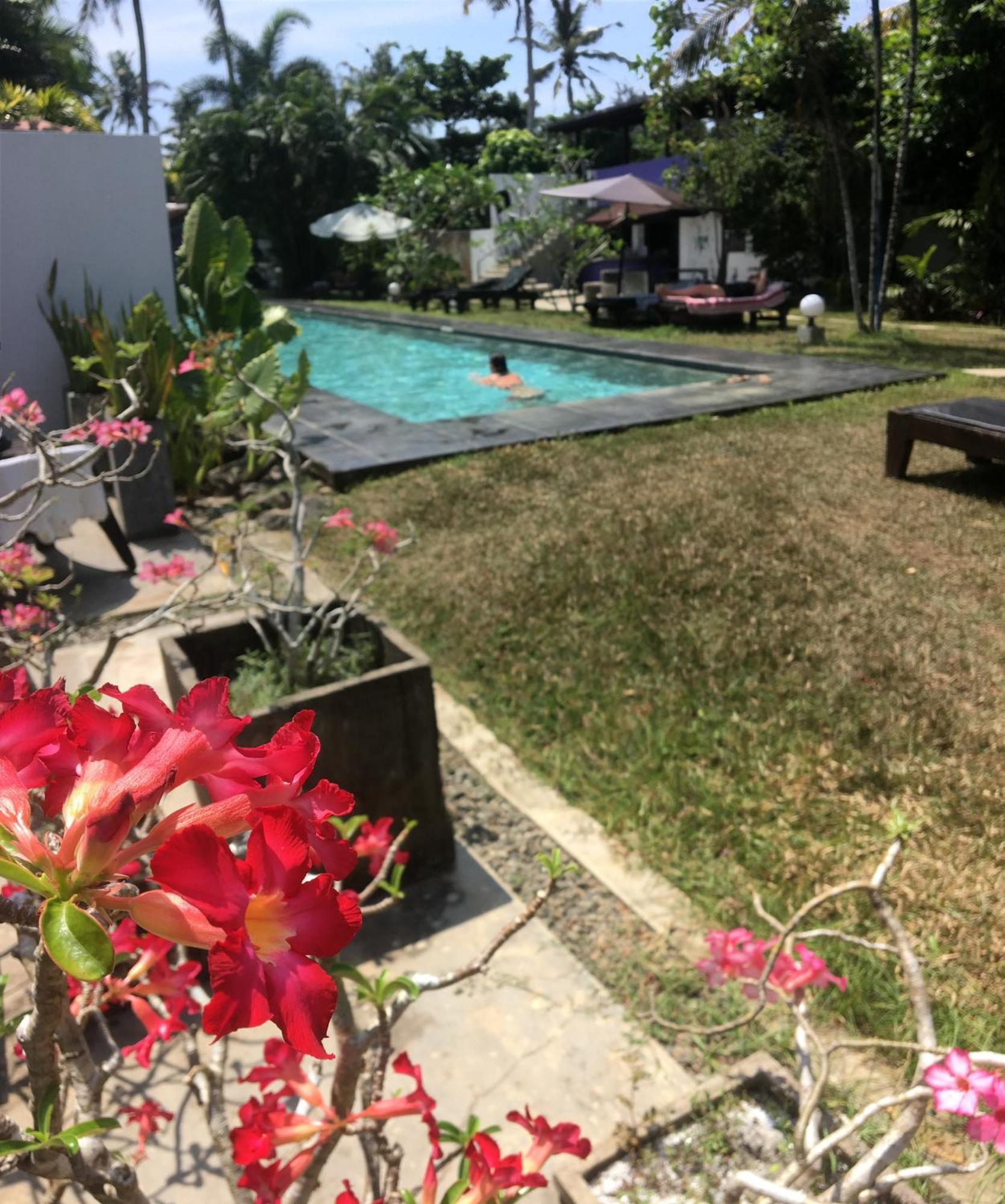 Turtle Eco Beach Matara Exterior foto
