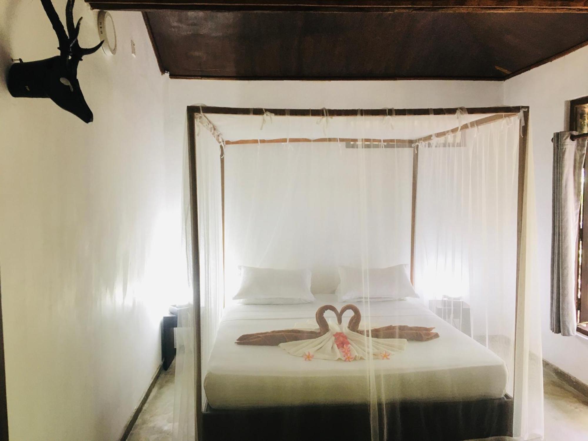 Turtle Eco Beach Matara Exterior foto