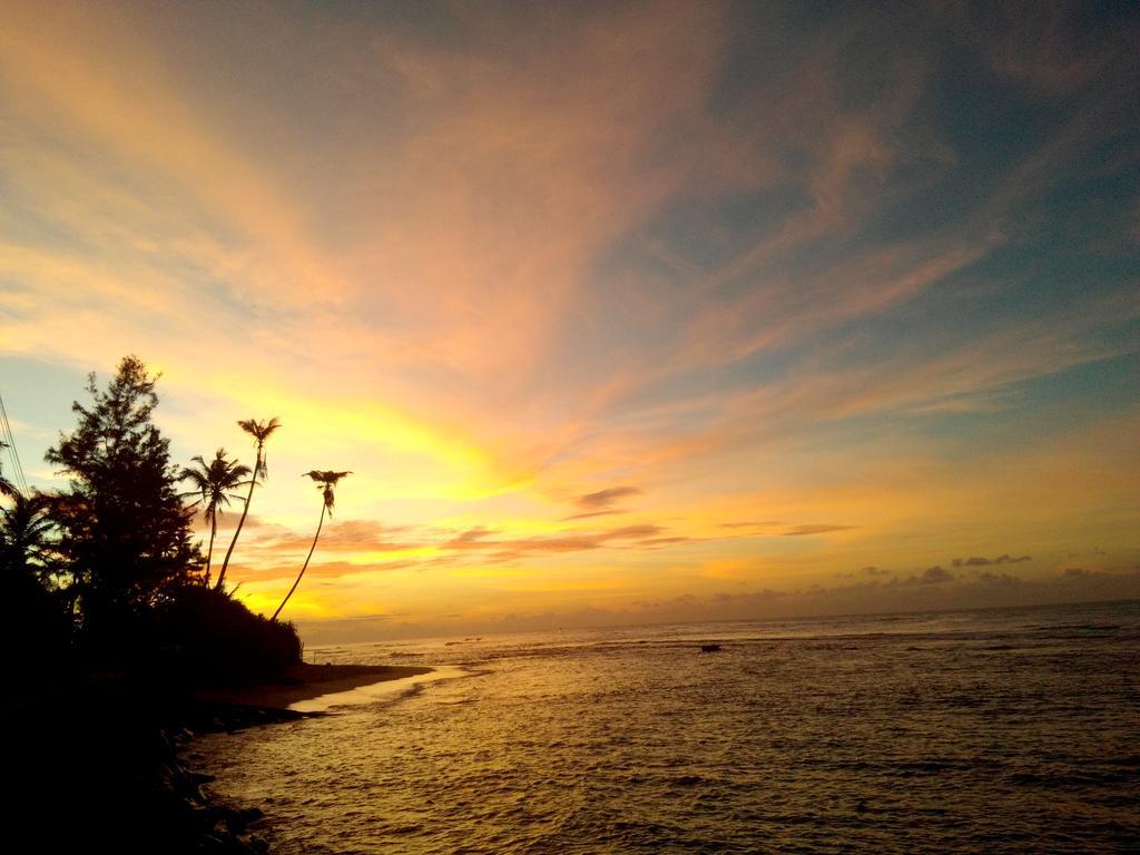 Turtle Eco Beach Matara Exterior foto